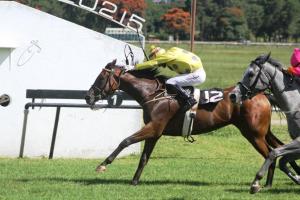 Print The Pounds and Picalilly