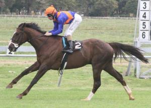 The Go Deputy gelding, Menacing, has the credentials to feature.