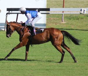 The Soar With Eagles filly, Tallie Two