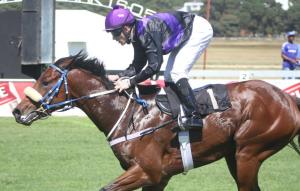 Demagogue with Apprentice Marwing aboard won the TBA Sales Stakes.
