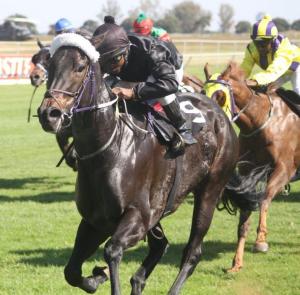 Ebony Silver  (Derere beat stablemate Jean's Dancer to the line.