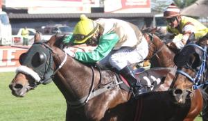 Road to Dubai heading for home with Francois Herholdt in the irons