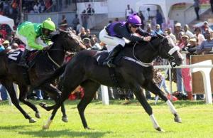 Aiiyayaii (Apprentice Wesley Marwing) won by 1.25 lengths.
