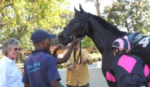 Paint It Black  by Century Stand (AUS).