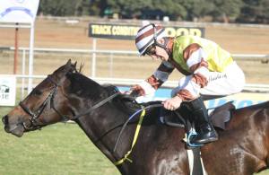 Equiano (Thackeray winner of Champion Juvenile Stakes)