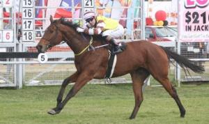 Gentle Brook winning at Borrowdale Park with Apprentice Mathew Thackeray up.