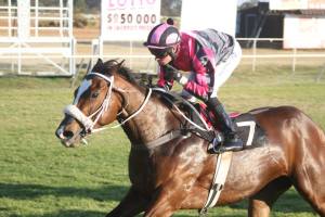 Changa JPv.d.Merwe 1000m MR70