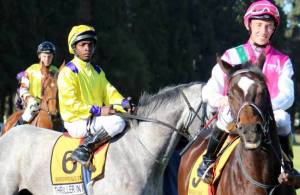 11752614_504422053058648_6698882780841399949_n