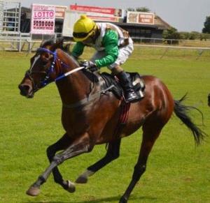 Young Diplomat will be ridden by Apprentice Serino Moodley.