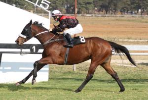 Fig Jam, daughter of Ideal World (USA) a comfortable winner.