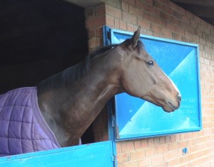 Rushmore River - having a look