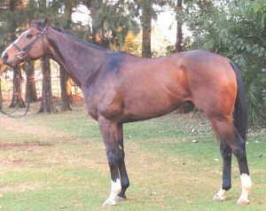 Rushmore River at Borrowdale Park .