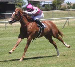 Starry Notions - one of the winners