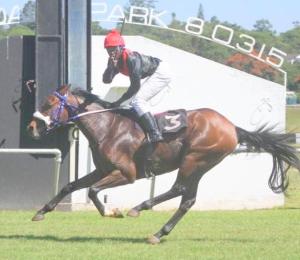  Norbert Takawira winning on Nugget Effect.