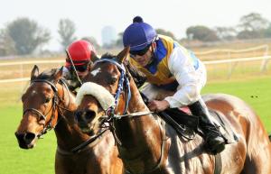 Pegwell Bay (red cap) and Approval Rating