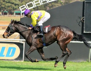 Bankers Blues also ridden by Andrew Fortune