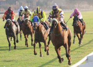 Chestnut Girl is trying for a hat-trick.