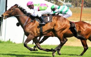 On paper Zita (second) seemed hard to oppose.