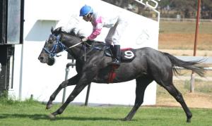 Parade Prancer was ridden by Brendon McNaughton. 
