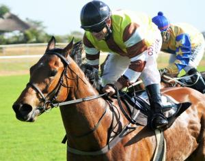 Pegwell Bay (Fortune) from Iron Lady (Herholdt). 