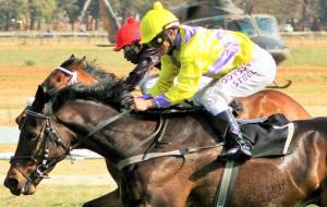 Bankers Blues Fortune Nugget Effect Takawira R5