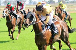 The son of Trippi (USA), Romantic Balladeer, is nearest the camera.