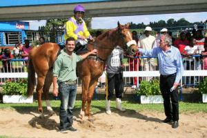 Century Stand colt, Tandava