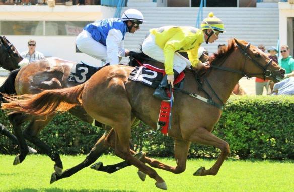 Duffi's Call McNaughton) Master of The Sky (Chambers) 1st race