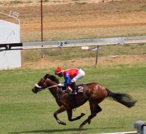 The Mullins Bay (GB) colt, Gateway Gamble.