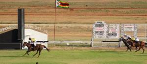 Jean's Dancer came home lonely.