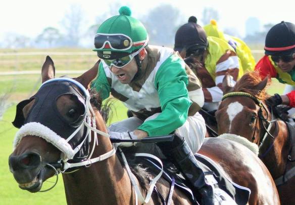 Road To Dubai Herholdt