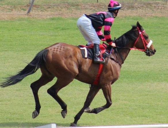 LOST iSLAND Brendon McNaughton