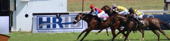 supa challenge finish then say so tiger and Jeans Dancer Its By Jingo