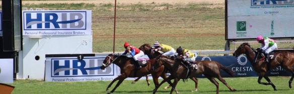 supa challenge finish then say so tiger and Jeans Dancer Its By Jingo