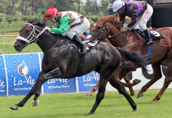 Baumgartner Herholdt Finlay (Fortune) 1700m Maiden 1.25 lengths