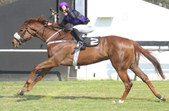 Betula Uber wins the Breeders Fillies Mile (L) Marwing