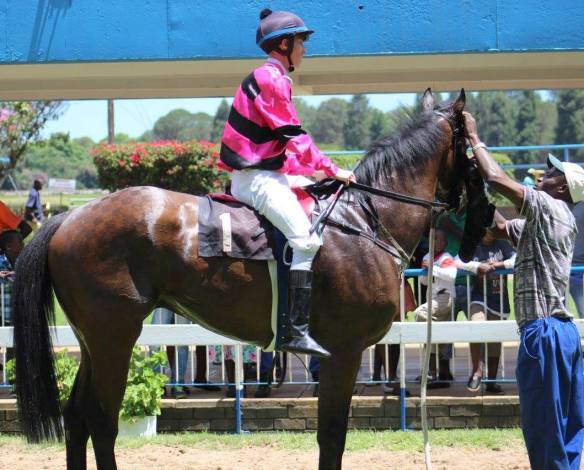 Bullion Bay McNaughton