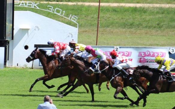 Confabulate (herholdt) 1700 MR70