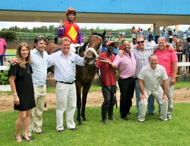 Cool Solution Guineas Trial winner