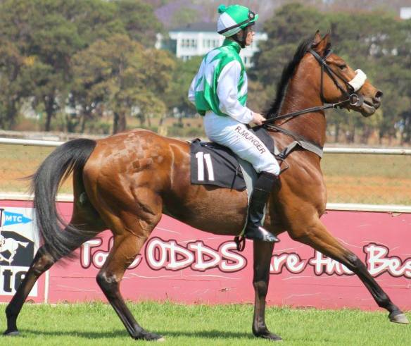 hunyani daughter of horse chestnut  Munger