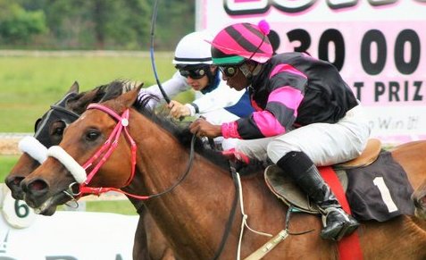 Lost Island and Jean's Dancer Race 4