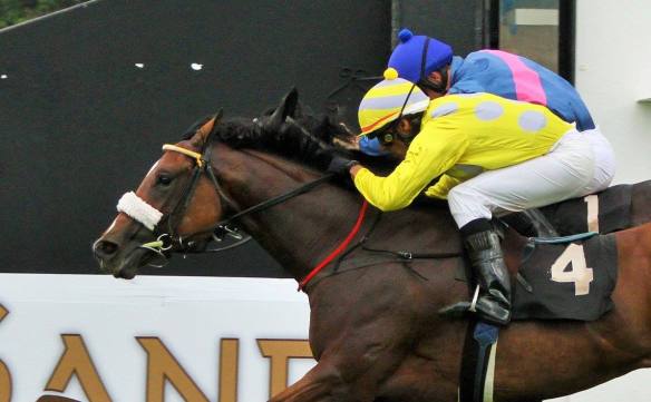 P the P Eurakilon one stride past post