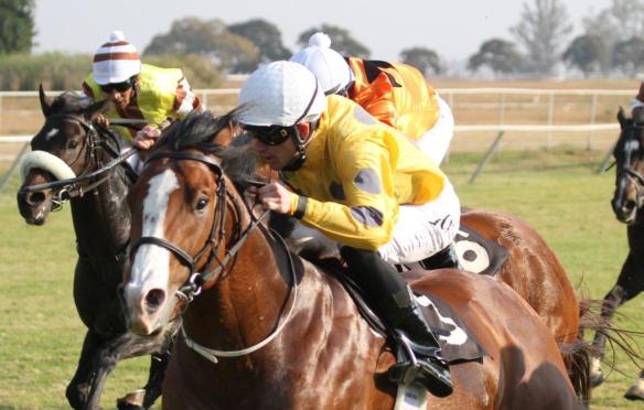 Rocky Road  (Marwing)  heading for the line TBA Champagne Stakes (L)
