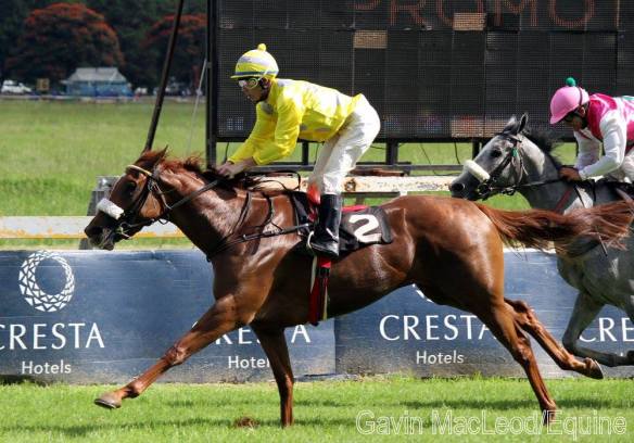 Fillies Classic 2016 Duffi's Call Pacifica