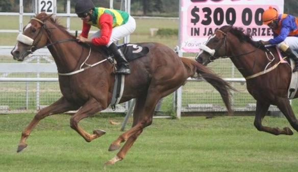 Lucky Sam and Killa Man Ind Trophy 2015 April 5 1600m