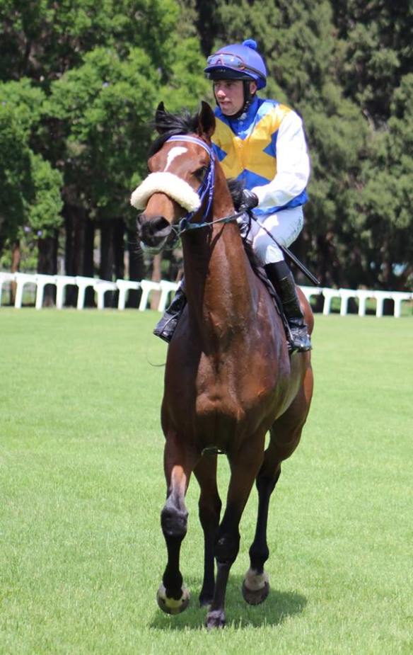 magnificent mile jp van der merwe