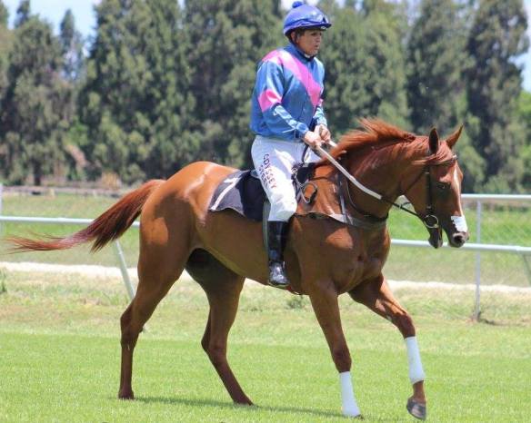 Ladies First - Andrew Fortune