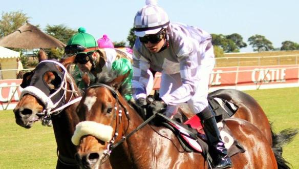 Newton Power (JPvdM) Road To Dubai (Herholdt) 1200 MR 90