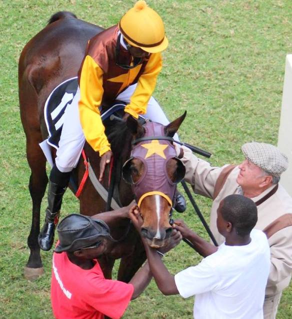 Quick Glance Bikausaru