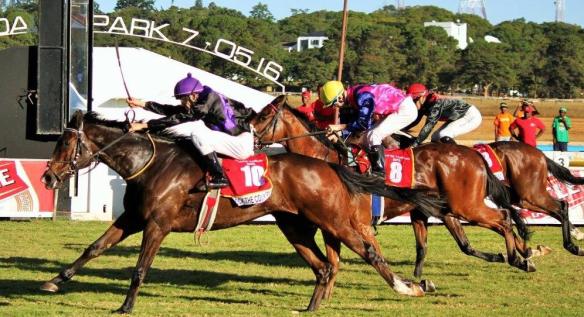 rock country - cASTLE tANKARD gAVIN